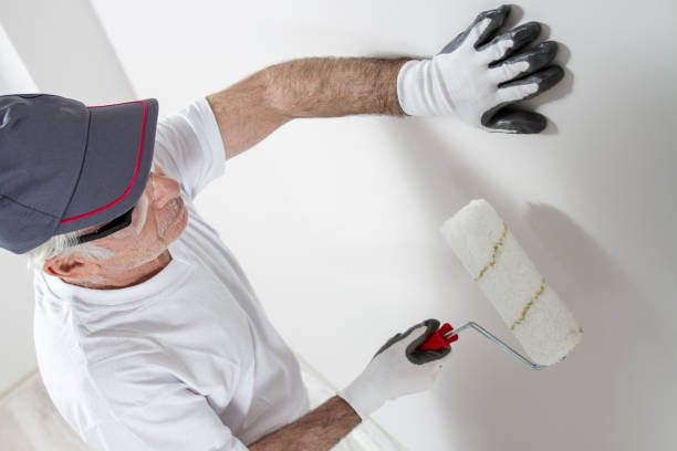 Best Residential Painting Experts  in USA