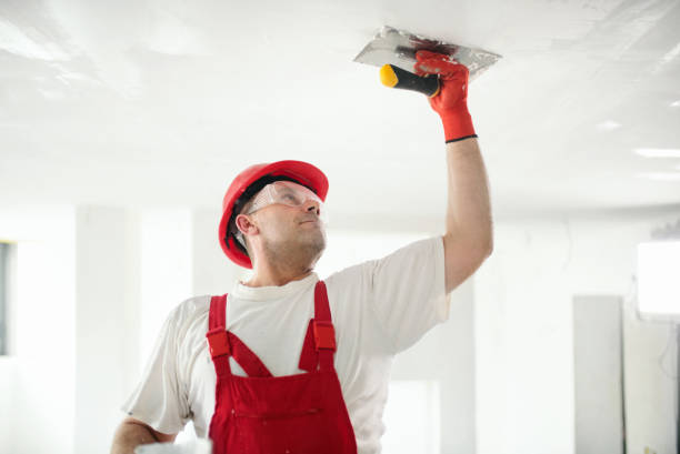 Best Interior Painting Services  in USA